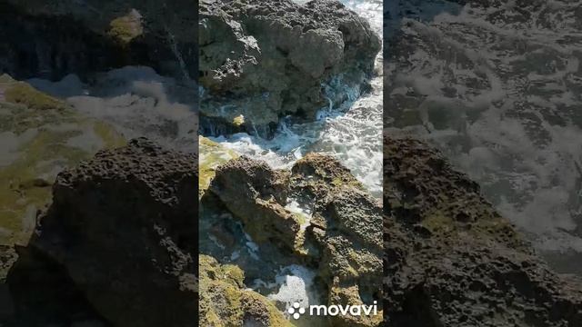 Море оздоравливаеи и успокаивает.