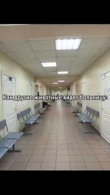 Барни что какой-то странный