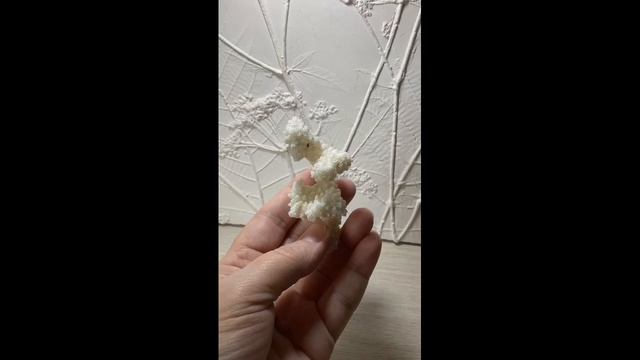 Коралл веточка