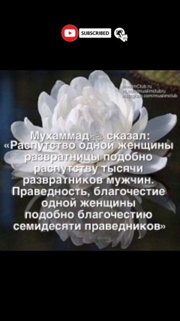 Ценность праведной женщины в Исламе