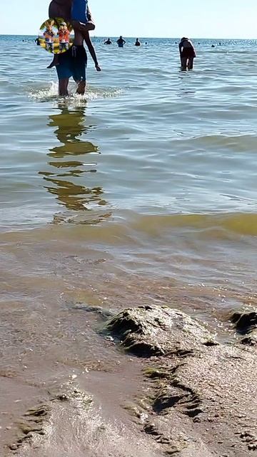 Огонь водичка только вот цветёт жара