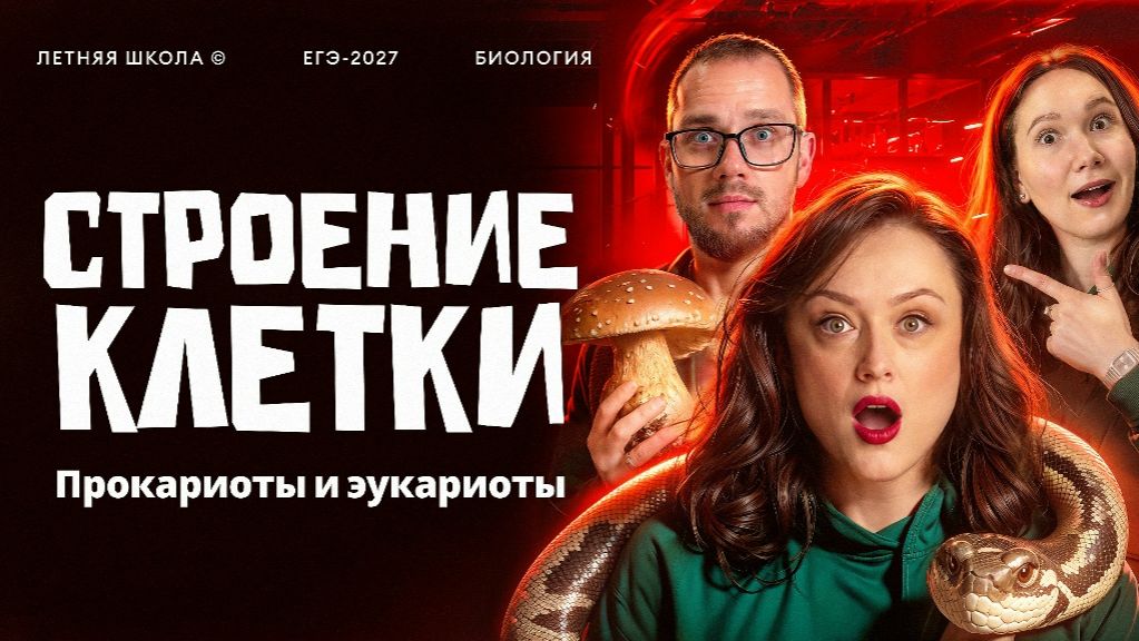 1. Строение клетки. Прокариоты и эукариоты  ЕГЭ 2027 по биологии  Stepenin.ru