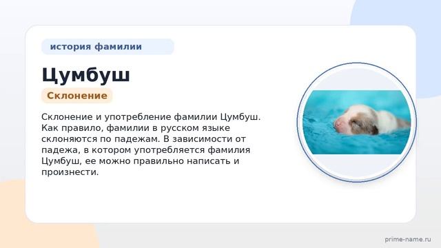 Фамилия Цумбуш: происхождение значение и склонение