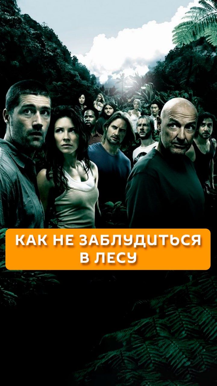 Как не заблудиться в лесу