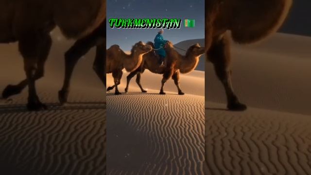 Вместе мы сила