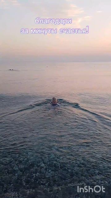 InShot_20260814_205143879