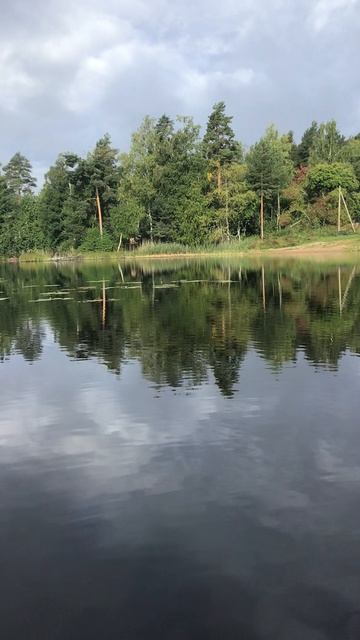 Ленобласть. Хвойное. Речка Вуокса. 21.08.2026 Утешительный приз. на рыбалке с котёночком. Эпизод 1 1