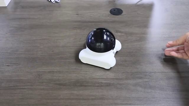 Видео робота для животных и охраны 