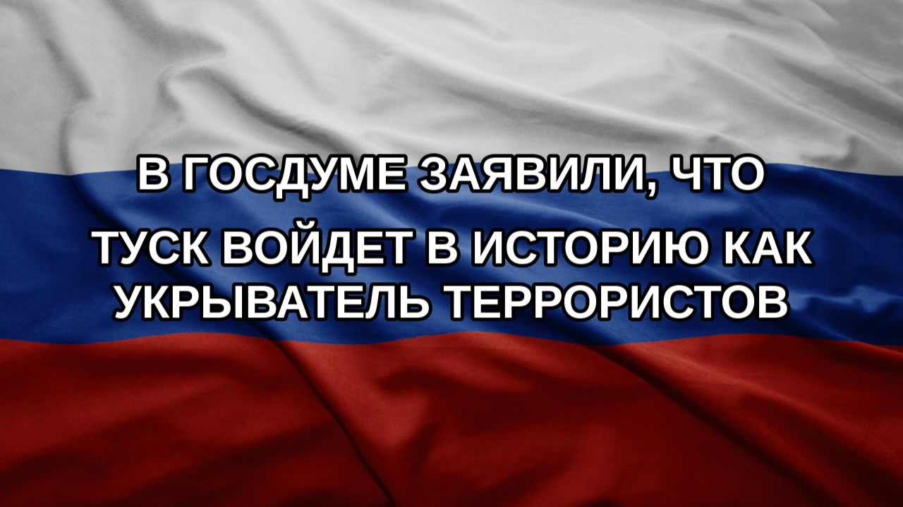 В Госдуме заявили, что Туск войдет в историю как укрыватель террористов