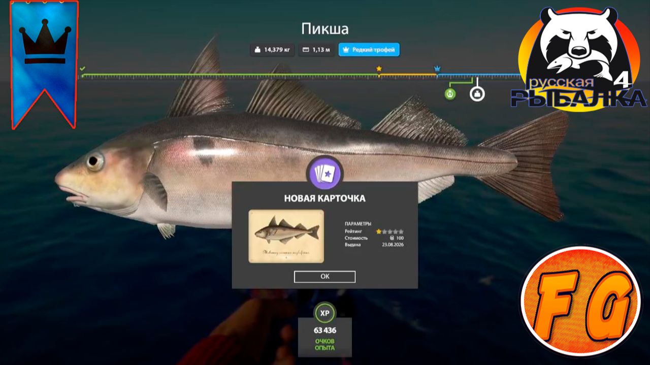 Редкий трофей. Норвежское море. Синяя Пикша. Русская рыбалка 4. рр4