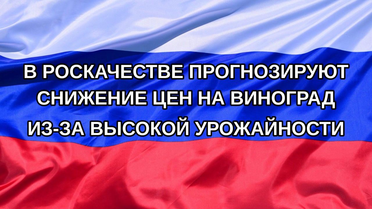 Н. РФ В Роскачестве прогнозируют снижение цен на виноград из-за высокой урожайности