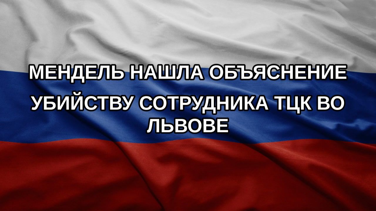 Мендель нашла объяснение убийству сотрудника ТЦК во Львове