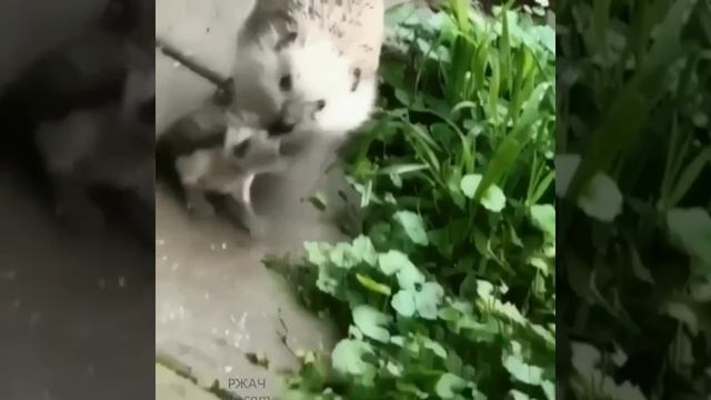 Выходной!