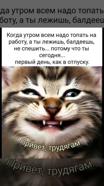 Отпуск . Юмор