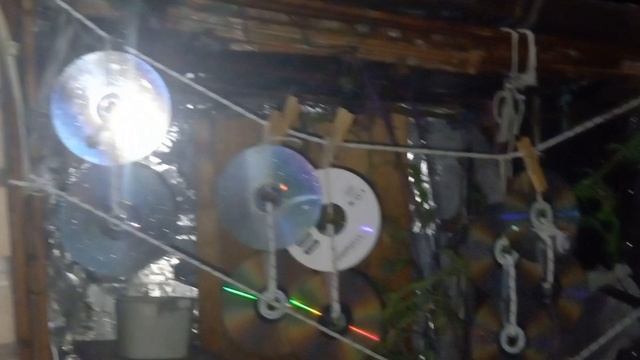 VID_20260822_215350_095644.mp4 Дождь.