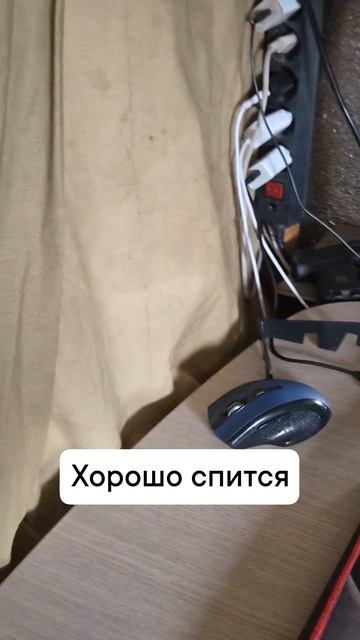здоровый сон