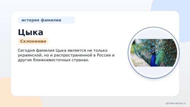 Фамилия Цыка: происхождение значение и склонение