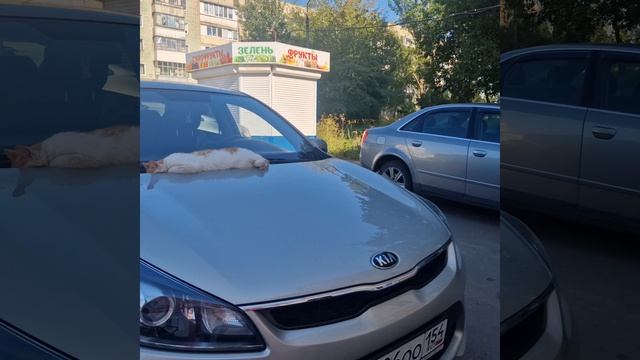 кар исход с одной деталью