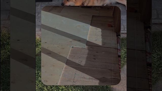 1000067812.mp4 Собака слушает о технологии укладки лфанеры на пол на кухне в гос. в доме А-фрейм