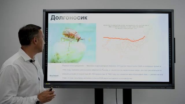 ХЛОПОК SEA ISLAND - САМЫЙ ДОРОГОЙ И САМЫЙ ЛУЧШИЙ