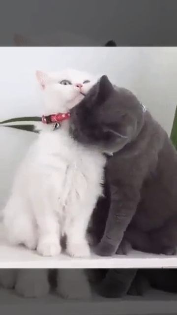 БЫВАЕТ