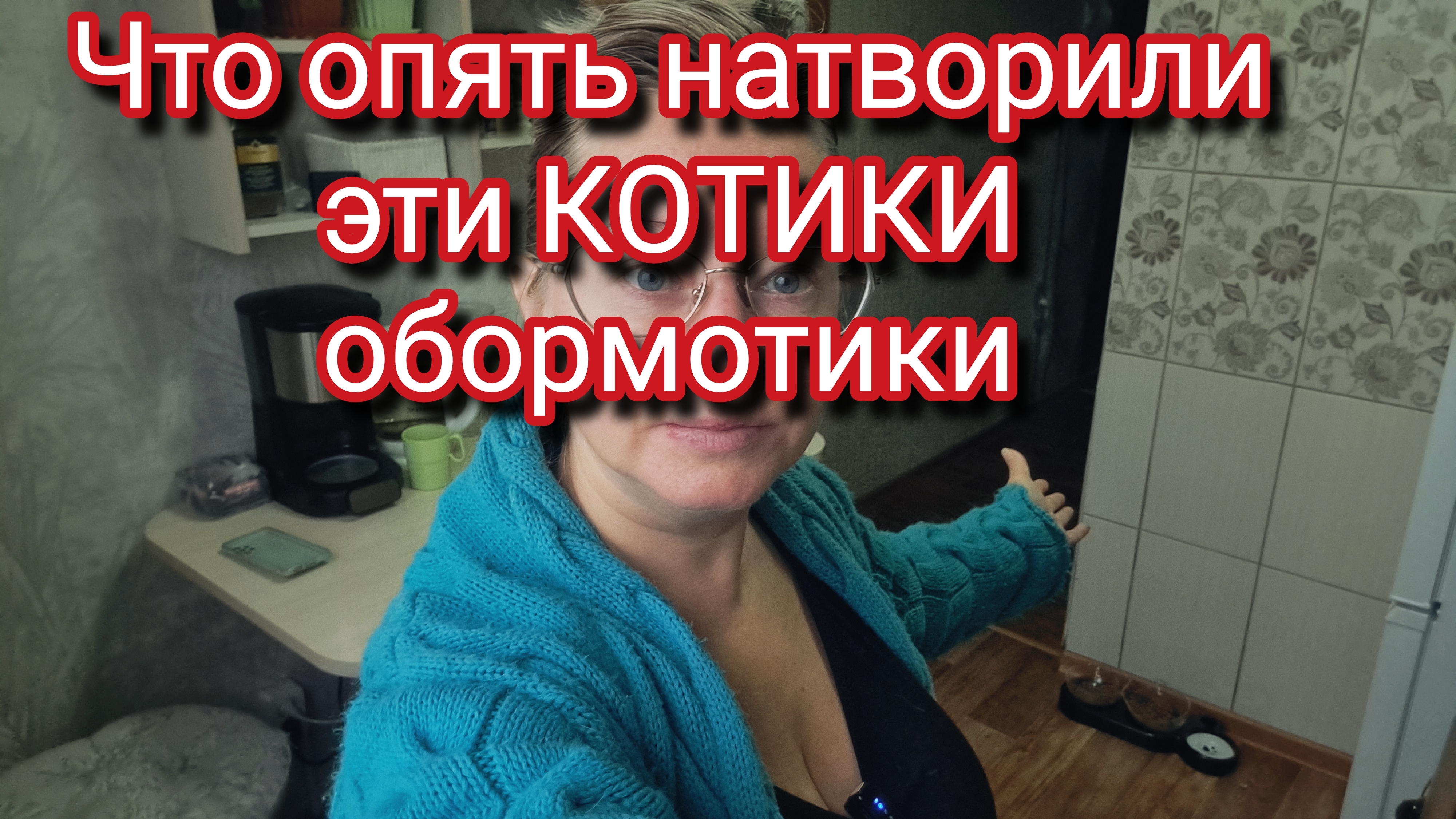 Что опять натворили эти КОТИКИ обормотики