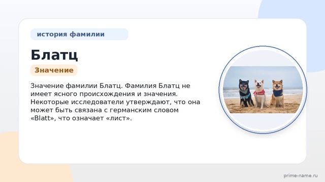 Фамилия Блатц: происхождение значение и склонение