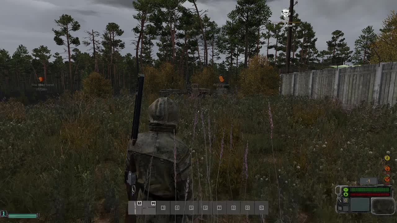 DAYZ БЕЗУМИЕ STALKER ПОЙДЕМ НА СЕВЕР
