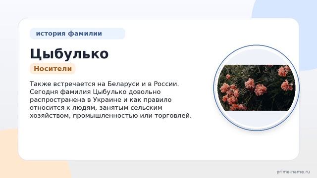 Фамилия Цыбулько: происхождение значение и склонение
