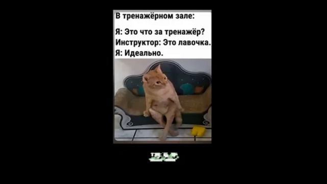 Юмор