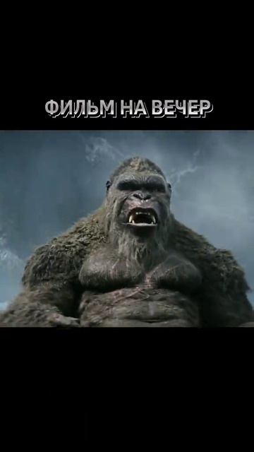 Фильмы на вечер