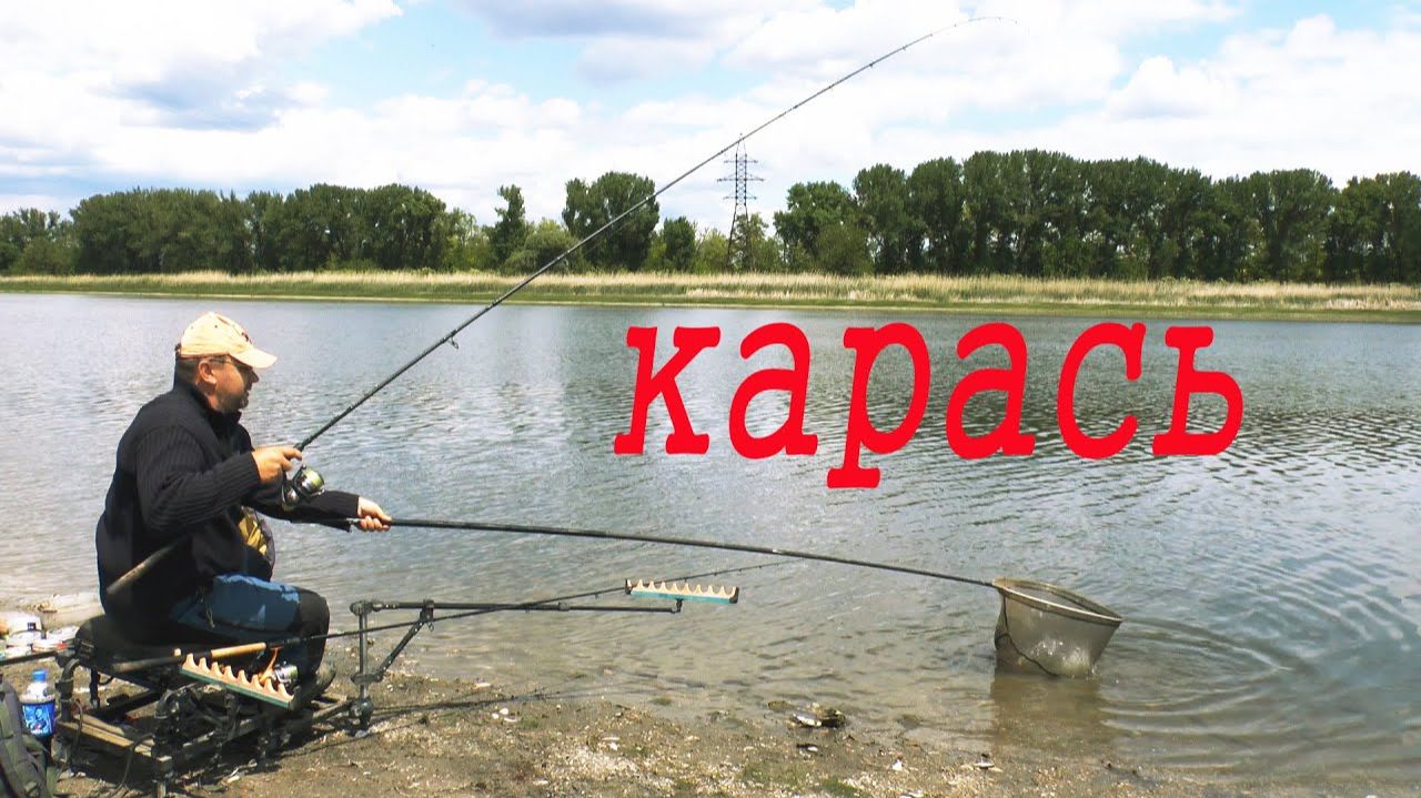 Одно несложное действие заставило карася клевать как с пулемета. Ловля карася на фидер. Рыбалка