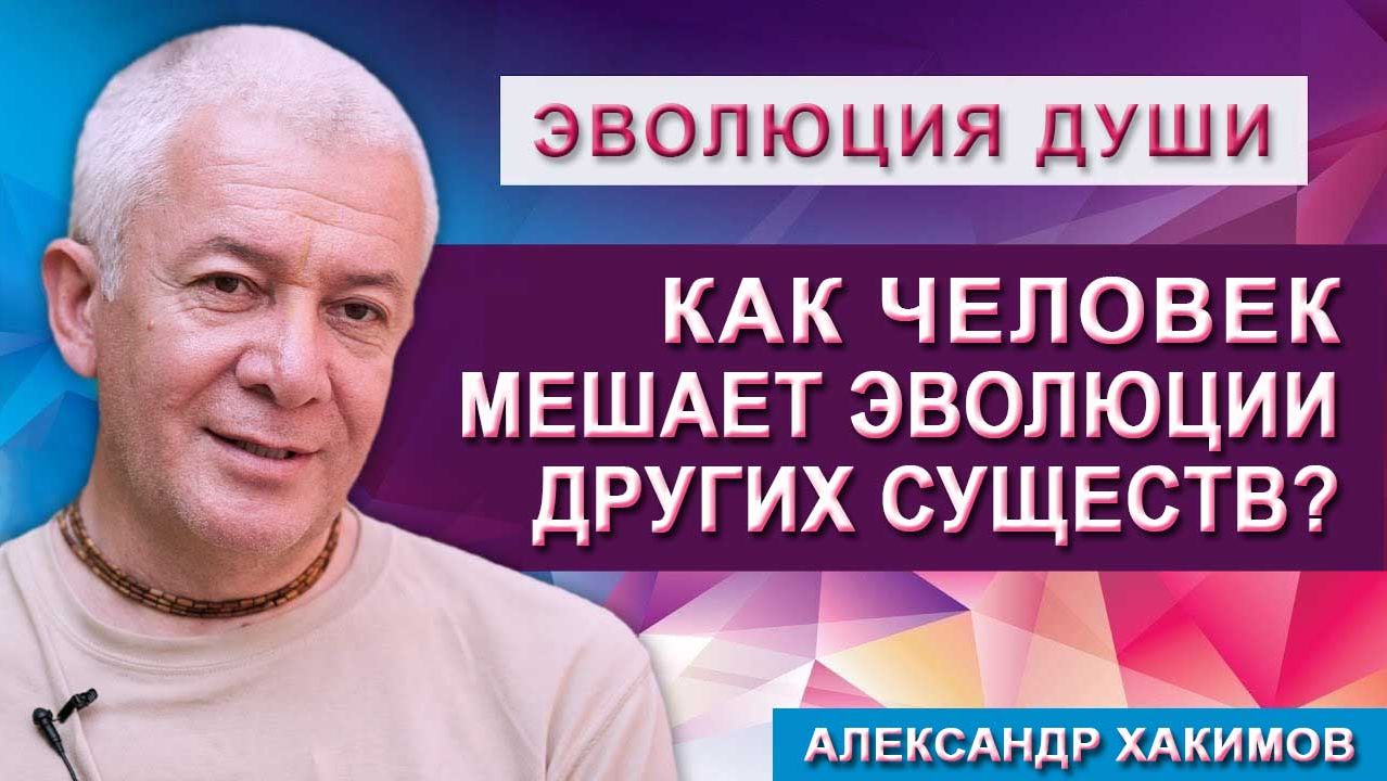 Как человек мешает эволюции других существ?