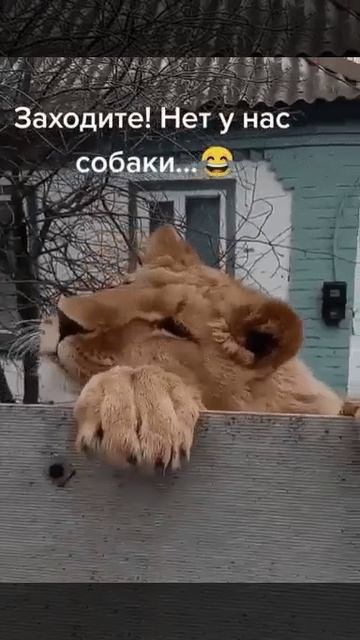 БЫВАЕТ