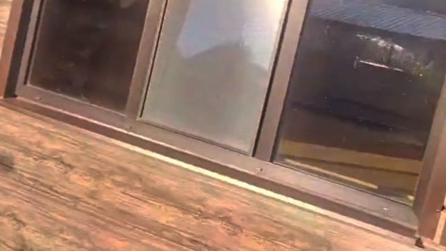 1000067798.mp4 Собака слушает о технологии укладки лфанеры на пол на кухне в гос. в доме А-фрейм