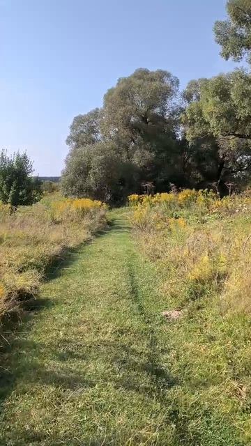 Дорога в поле. Таймлапс