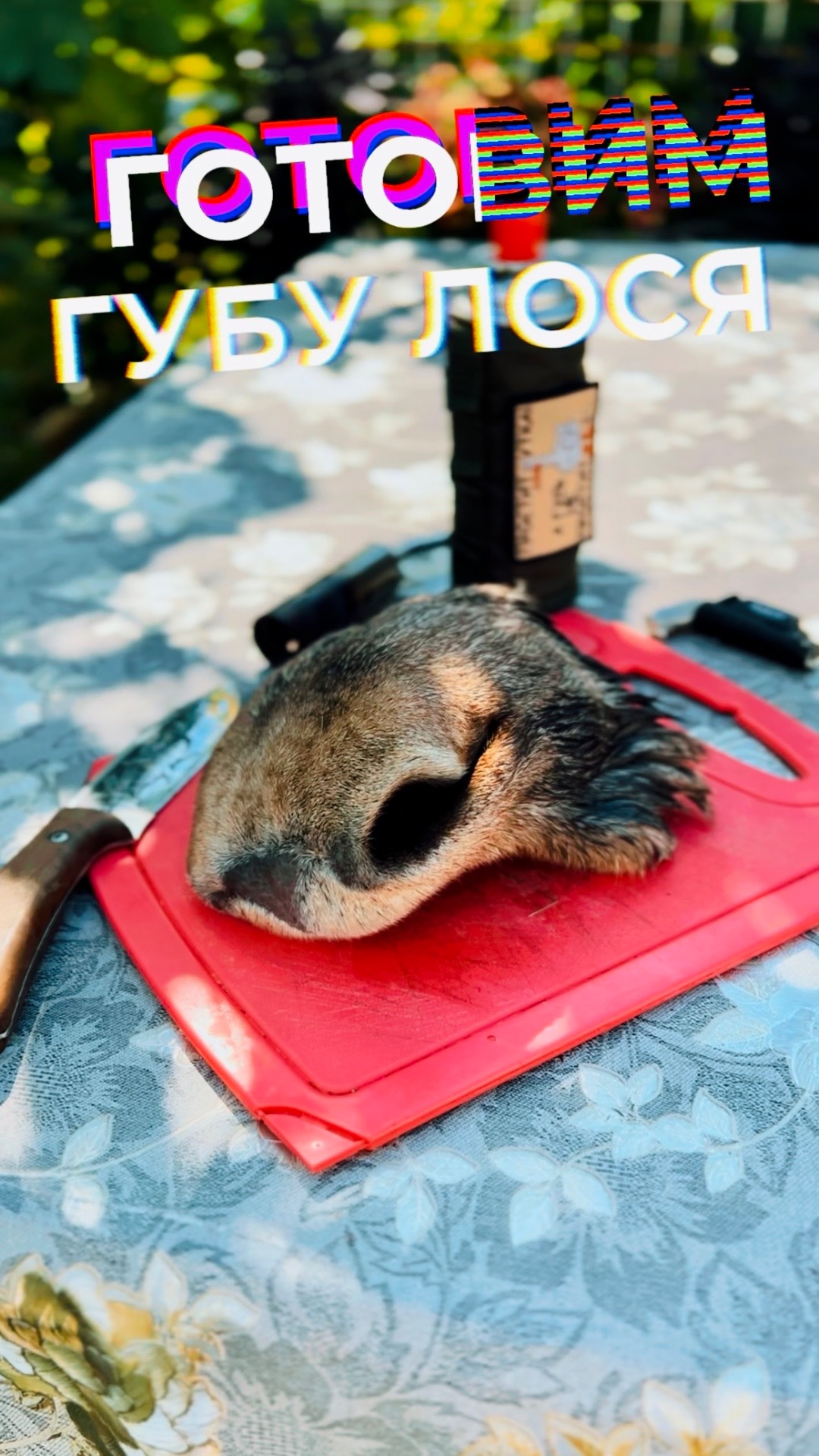 Готовим губу лося!