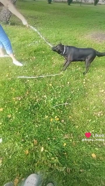 Перетягивание