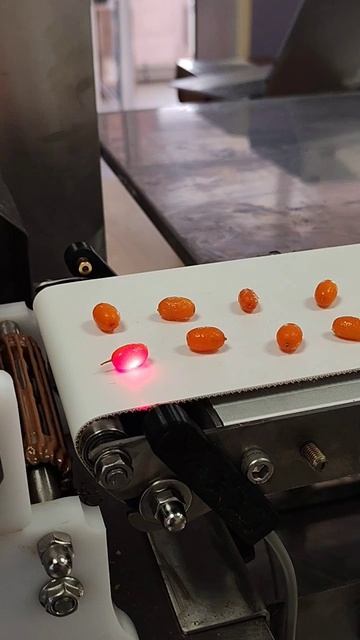 Облепиха в шоколаде. Глазировка.