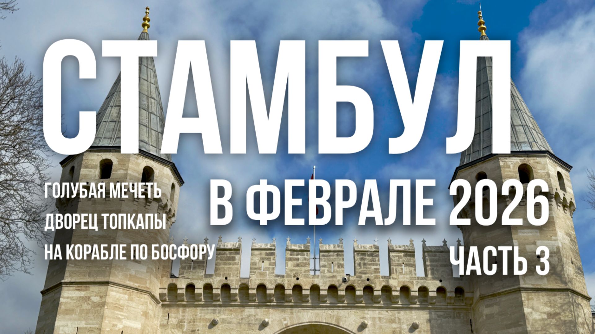 СТАМБУЛ В ФЕВРАЛЕ 2026 ГОДА. ЧАСТЬ 3  ГОЛУБАЯ МЕЧЕТЬ. ДВОРЕЦ ТОПКАПЫ. БОСФОР НА КОРАБЛЕ