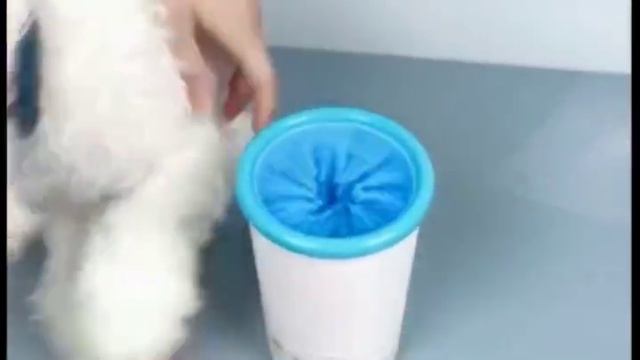 Видео мойки для лап
