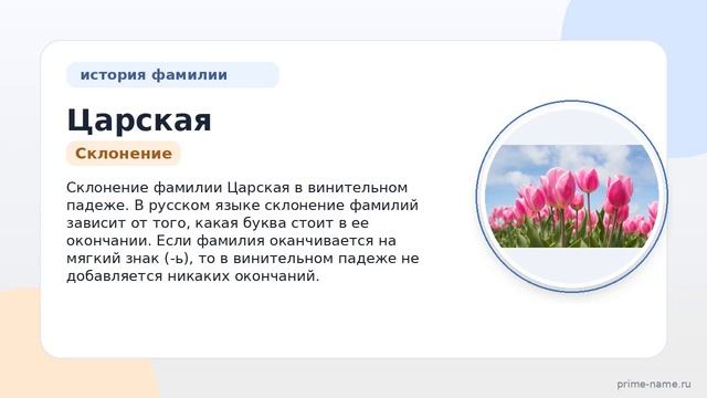 Фамилия Царская: происхождение значение и склонение
