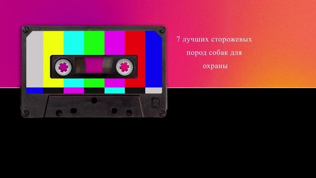 7 лучших сторожевых пород собак для охраны