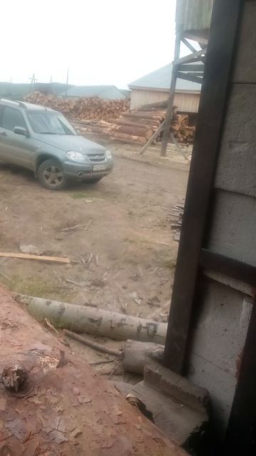 организация за работалалес возят