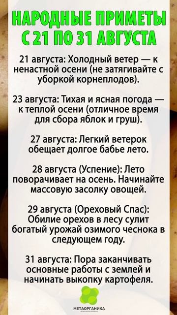 Народные приметы с 21 по 31 августа