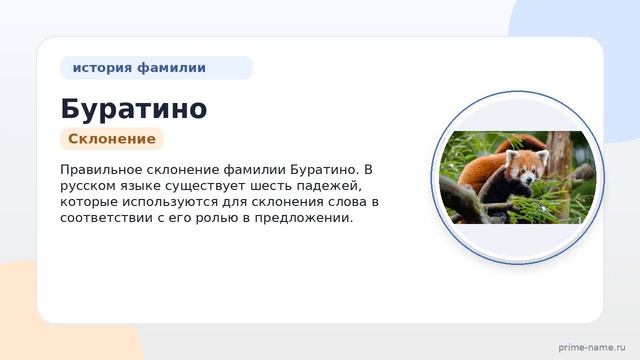 Изучаем фамилию Буратино: история происхождение и правильное склонение в одной статье