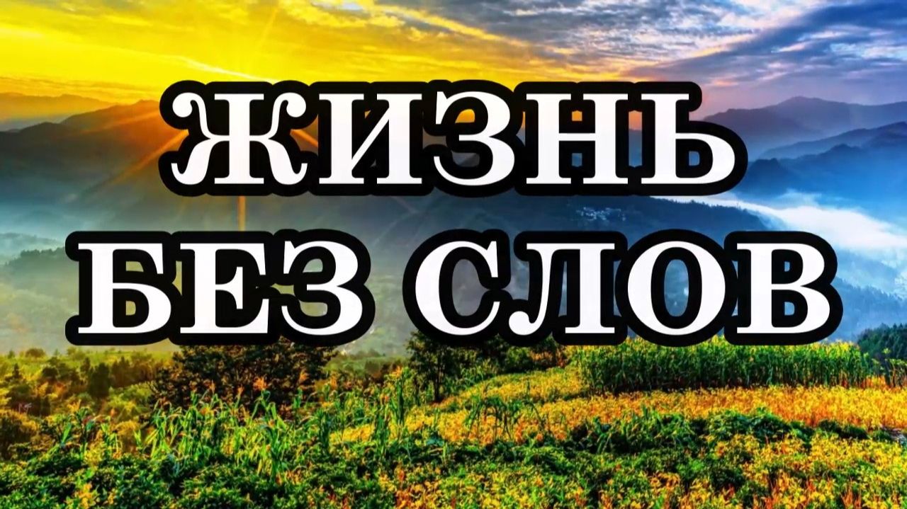 ЖИЗНЬ БЕЗ СЛОВ. В 5-ом измерении вам не нужны слова. Через чувства вы сможете считывать энергетику