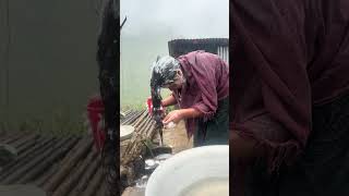 Жизнь в деревне