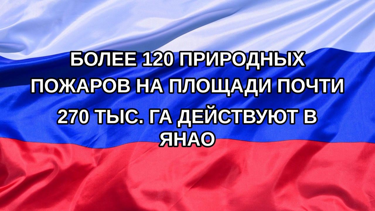 Н. РФ Более 120 природных пожаров на площади почти 270 тыс. га действуют в ЯНАО