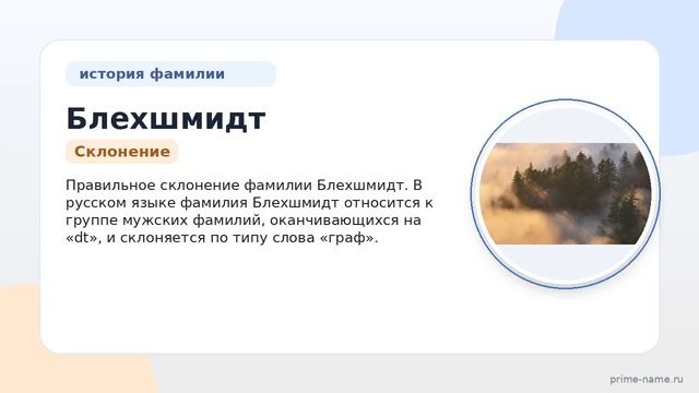 Фамилия Блехшмидт: происхождение значение и склонение